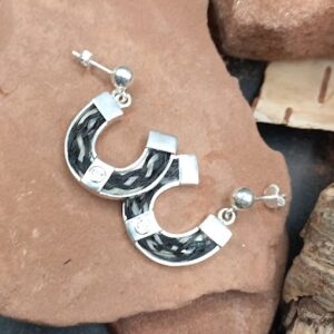 Horse Shoe Earings